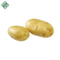 Batatas Frescas / Batata Frita